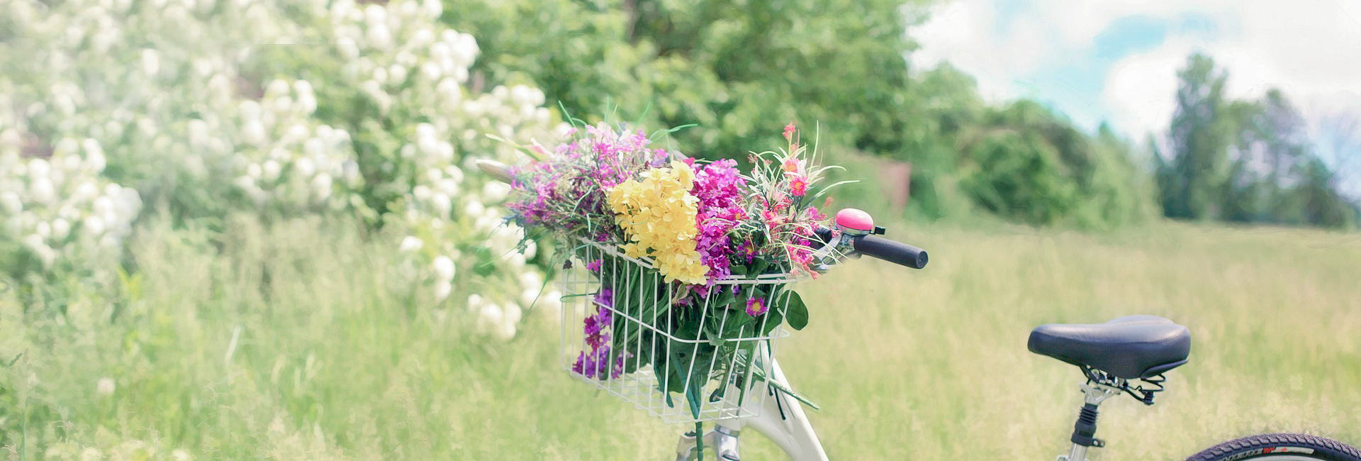 カゴに花を積んだ自転車が走っている写真